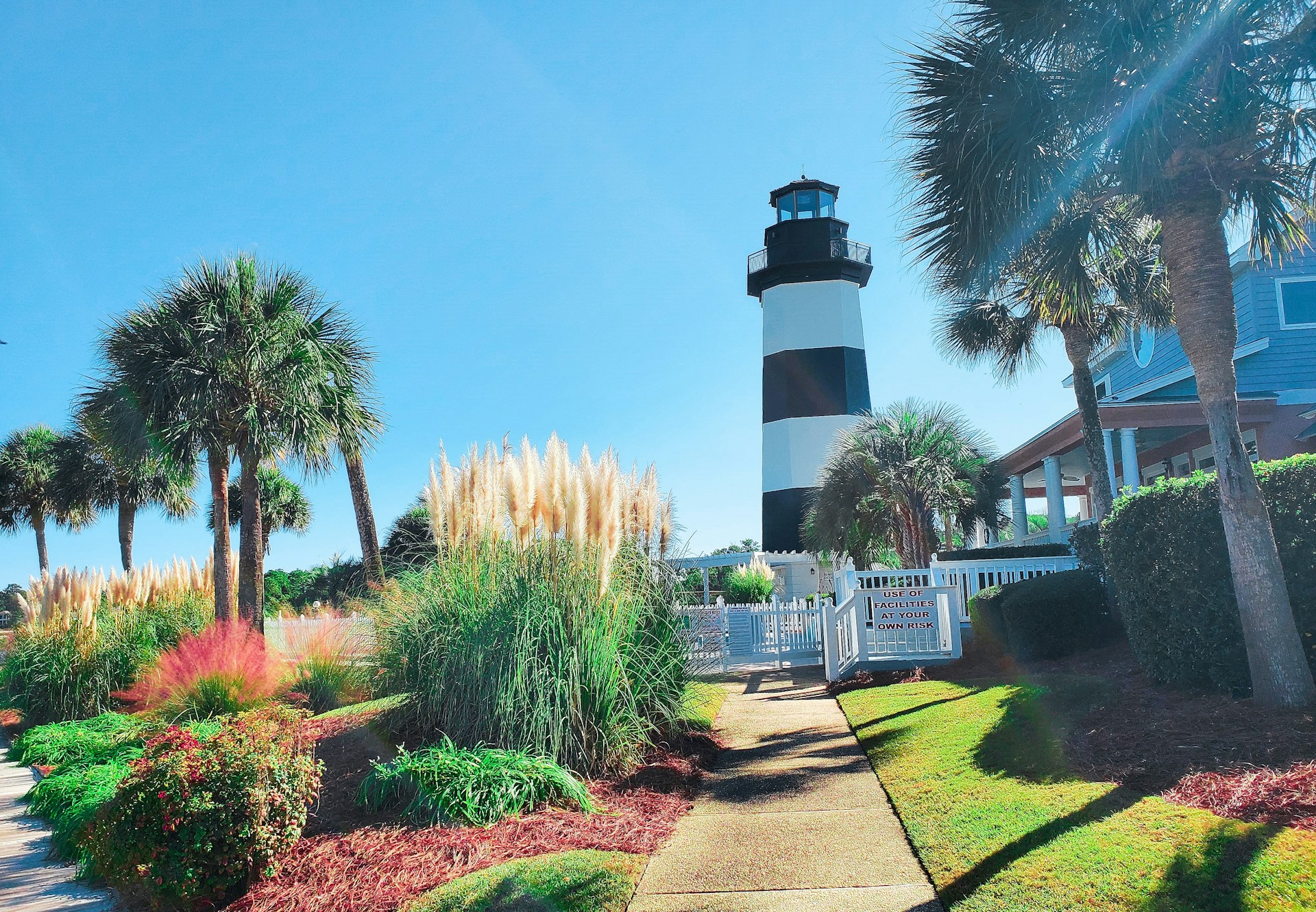 Lowcountry lighthouse with palm trees